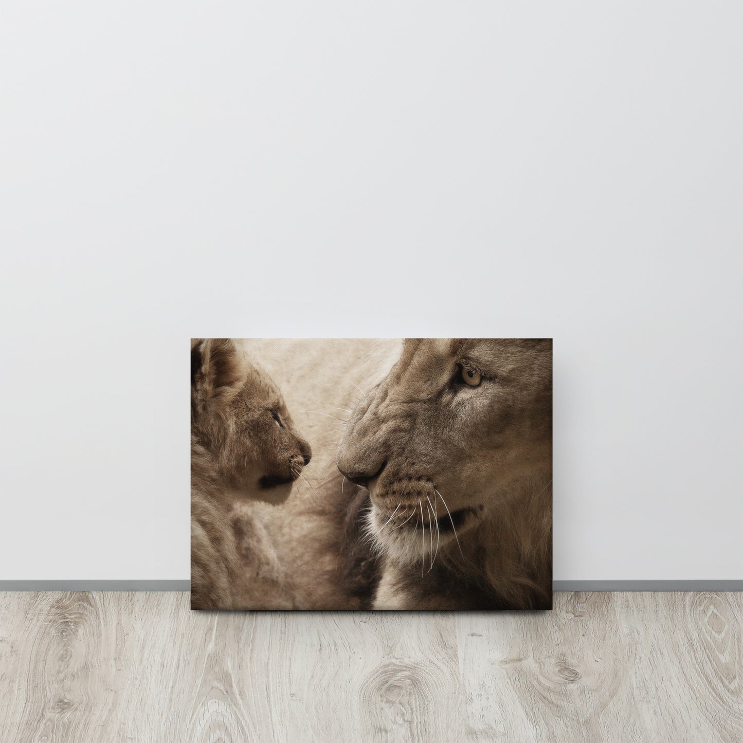 Lions Touch Canvas