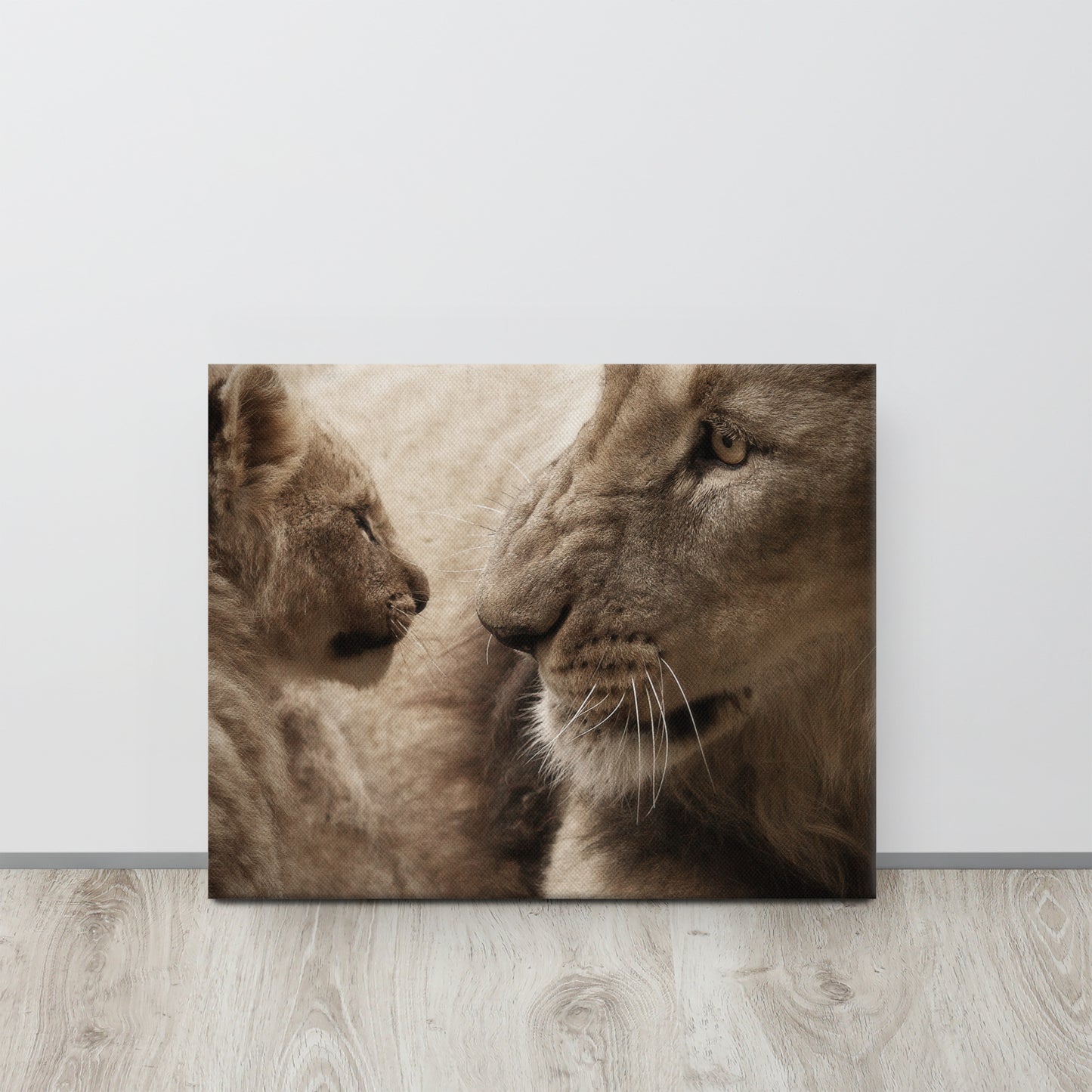 Lions Touch Canvas