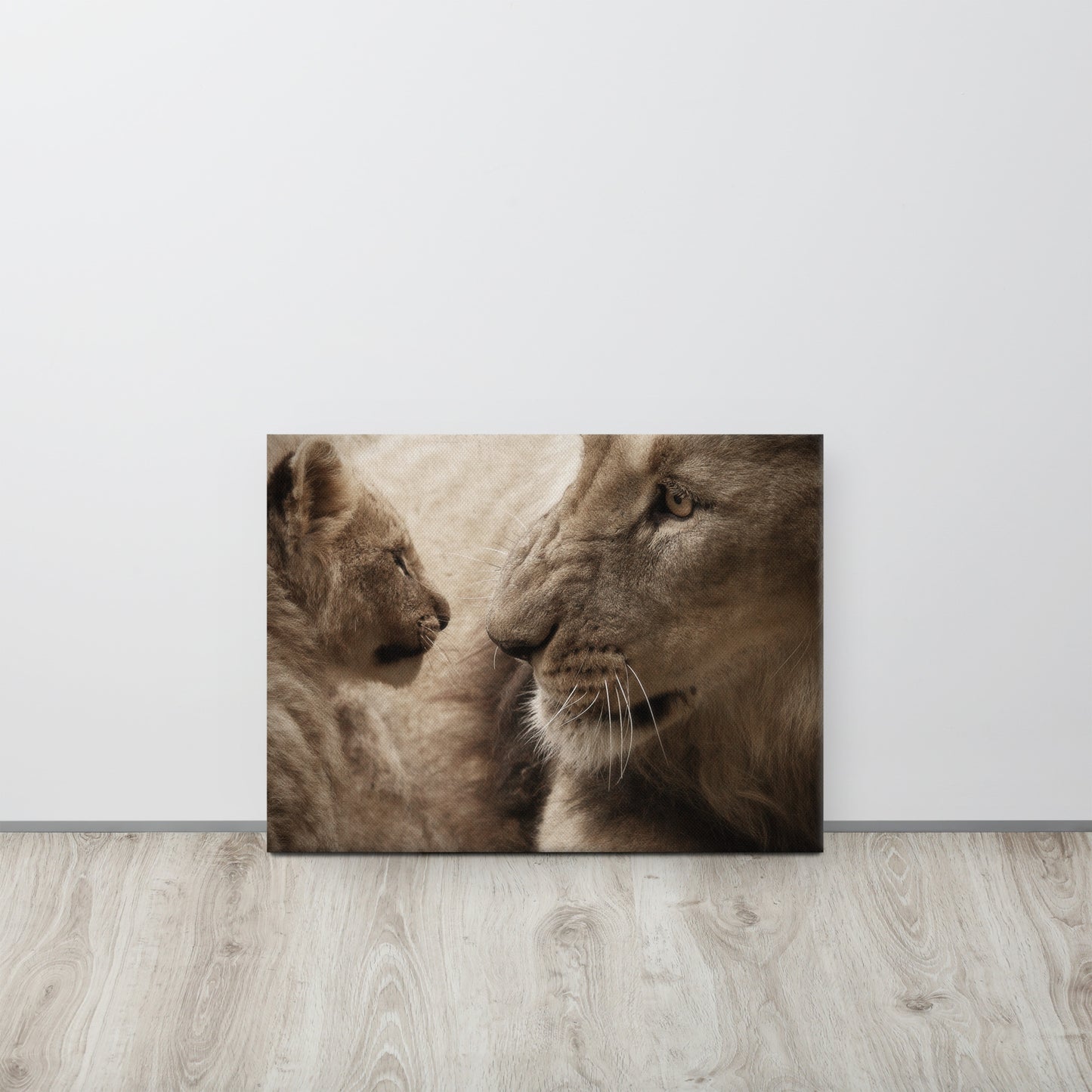 Lions Touch Canvas